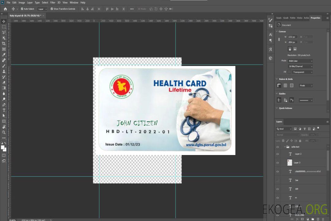 Carte de santé du Bangladesh template